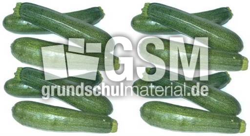 Zucchini6+6.jpg